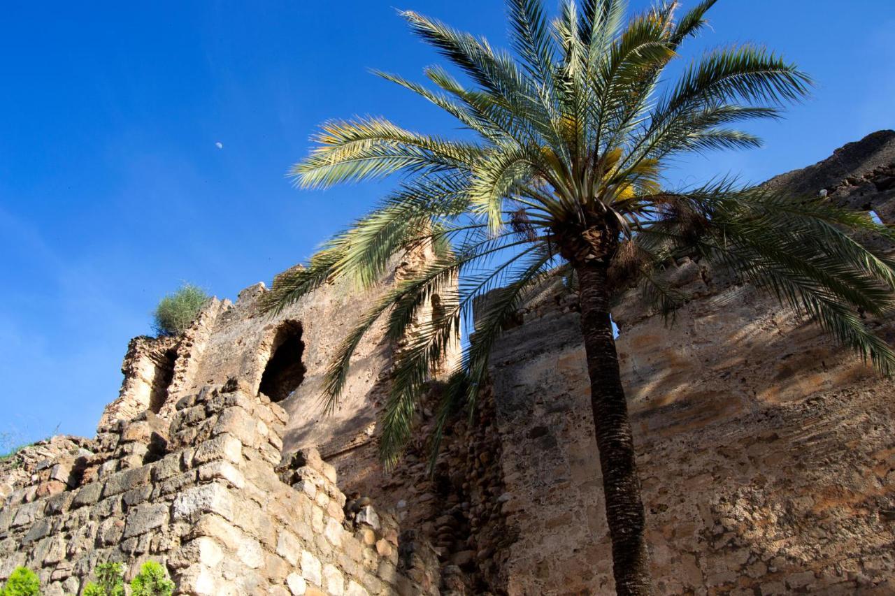 شقة Edificio Ramiro ماربيا المظهر الخارجي الصورة